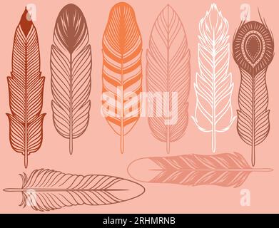 Set di piume bohémien, tribali, etniche disegnate a mano. Piume decorative rustiche. Set di design vettoriale vintage. Illustrazione Vettoriale