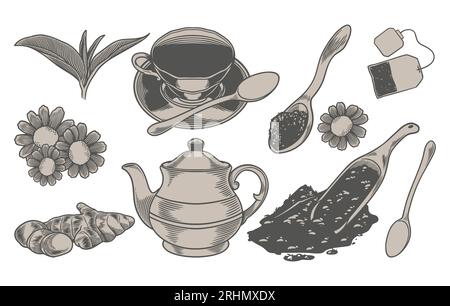 Set di elementi disegnati a mano in stile vintage e minimalista di teiera e tè alle erbe gustati per rilassarsi. Illustrazione vettoriale. Immagine isolata su una b bianca Illustrazione Vettoriale