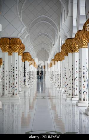 Emirati Arabi Uniti, Abu Dhabi, dettagli della colonna intarsiata presso la grande Moschea dello Sceicco Zayed. Foto Stock