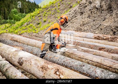 Deforestazione, concetto di taglio forestale. Il boscaiolo taglialegna è un albero per motosega da uomo. Lavoro di taglialegna con motosega nella foresta. Taglialegna sega l'albero Foto Stock