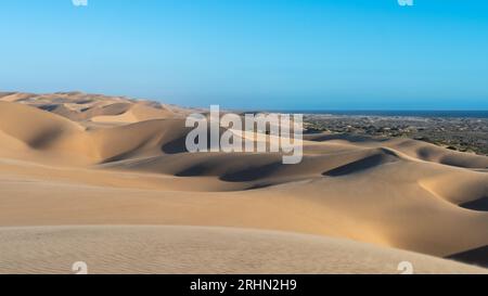 Tranquillo scenario del deserto della Namibia Foto Stock