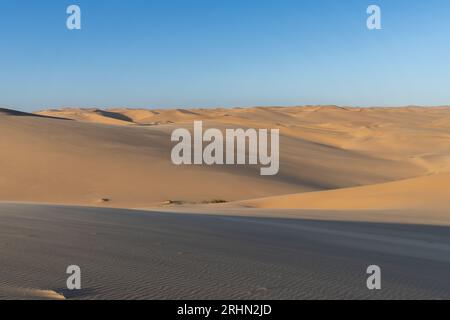 Tranquillo scenario del deserto della Namibia Foto Stock