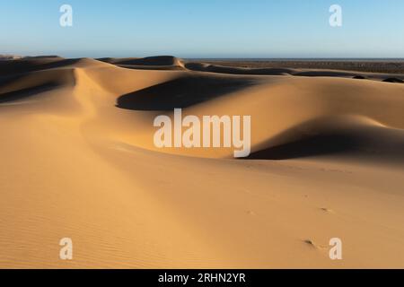 Tranquillo scenario del deserto della Namibia Foto Stock