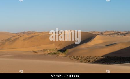 Tranquillo scenario del deserto della Namibia Foto Stock