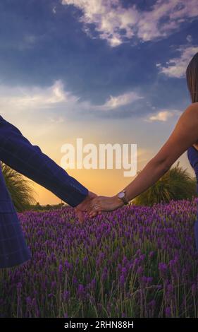 Coppia che si tiene per mano in un campo di lavanda Foto Stock