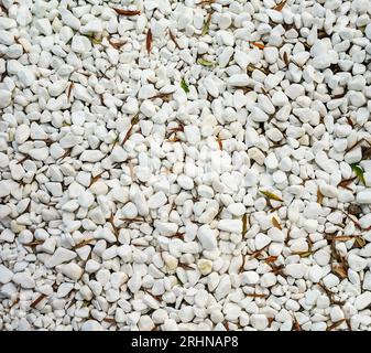 Pietre bianche sulla riva del mare. Adatto per lo sfondo. Foto Stock