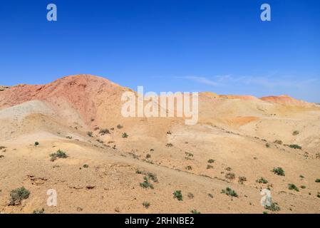 Le formazioni rocciose di Tsagaan Suvarga nel deserto del Gobi, Mongolia Foto Stock