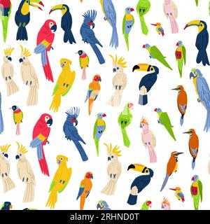 Coloratissimi uccelli esotici motivo vettoriale senza cuciture su bianco. Modello di uccello esotico. Mega collezione di pappagalli tropicali. Illustrazione vettoriale Illustrazione Vettoriale