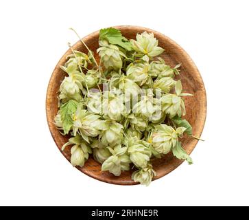 Piante medicinali a base di erbe raccolte ed essiccate Humulus lupulus, i comuni fiori di luppolo o luppolo. Luppolo fiori in una ciotola di legno isolata su sfondo bianco. Foto Stock