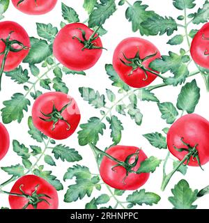 Motivo ad acquerello senza cuciture con rami di pomodoro rossi con foglie. Illustrazione per la confezione, la carta da parati, il tessuto, il tessuto Foto Stock