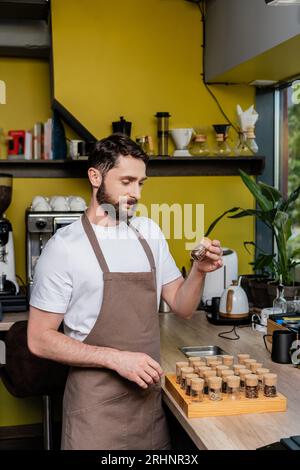 barista barbuto nel grembiule che sceglie i chicchi di caffè vicino ai vasetti in officina nel bar Foto Stock