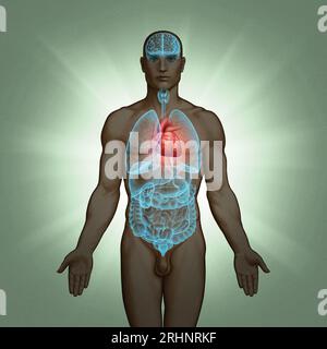 Serie di illustrazioni mediche: Organi umani. Immagine 5 di 10 Foto Stock