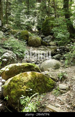 Tuzla, Bosnia ed Erzegovina. 17 agosto 2023. La grande sfera di pietra è stata vista nel villaggio di Zavidovici in Bosnia ed Herzegovia il 9 agosto 2023. Questo è il più grande ritrovamento di sfere di pietra in Europa. Ad oggi, ne sono stati trovati circa 60, di cui 11 sono stati conservati in ottime condizioni e sono tutti allineati lungo un torrente nella foresta e sono vicini l'uno all'altro. Foto: Emica Elvedji/PIXSELL credito: Pixsell/Alamy Live News Foto Stock