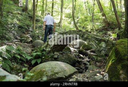 Tuzla, Bosnia ed Erzegovina. 17 agosto 2023. La grande sfera di pietra è stata vista nel villaggio di Zavidovici in Bosnia ed Herzegovia il 9 agosto 2023. Questo è il più grande ritrovamento di sfere di pietra in Europa. Ad oggi, ne sono stati trovati circa 60, di cui 11 sono stati conservati in ottime condizioni e sono tutti allineati lungo un torrente nella foresta e sono vicini l'uno all'altro. Foto: Emica Elvedji/PIXSELL credito: Pixsell/Alamy Live News Foto Stock