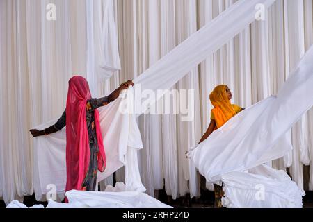India Rajasthan, Sari fabbrica tessile sono asciugati all'aria aperta. La raccolta del prodotto tessile secco vengono piegate per le donne Foto Stock