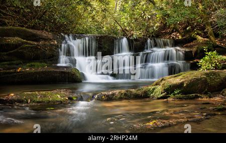 La luce del sole soleggiata penetra nella fitta tettoia di laurel alle cascate inferiori di Crow Creek. Foto Stock