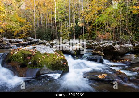 Middle Prong Little River, Great Smoky Mountains National Park - Sevier County, Tennessee. Il Middle Prong Little River scorre attraverso un'autu colorata Foto Stock