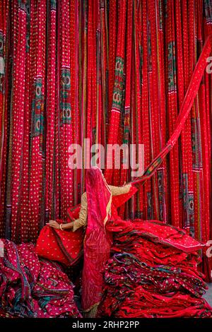 India Rajasthan, Sari fabbrica tessile sono asciugati all'aria aperta. La raccolta del prodotto tessile secco vengono piegate per le donne Foto Stock