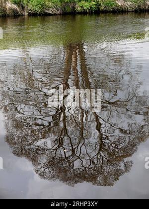 Il fiume Tees a Yarm Neat Stockton a Tees, Teesside, Inghilterra, Regno Unito Foto Stock