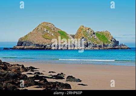 I gabbiani o carradori rocce al largo di Holywell Bay vicino a Perranporth in Cornwall, Regno Unito Foto Stock