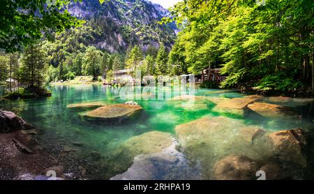 Blausee - uno dei laghi più belli d'Europa, situato in Svizzera, nel cantone Berna. famoso con acque cristalline e trasparenti, circondato Foto Stock