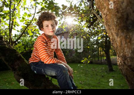 Ragazzo in giardino Foto Stock