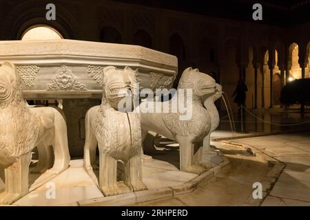 Spagna, Andalusia, Granada, Alhambra, Palacios Nazaries, patio de los Leones, Corte dei Leoni, foto notturna Foto Stock