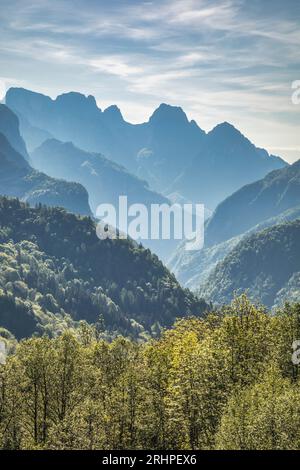 Italia, Veneto, provincia di Belluno, Gosaldo, vista dall'alto sulla valle del Mis, sullo sfondo i Monti del Sole, il Parco Nazionale delle Dolomiti Bellunesi Foto Stock