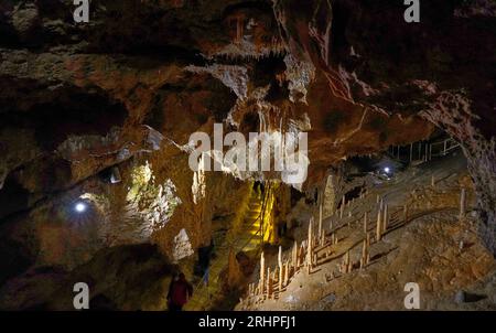 Germania, Baviera, alta Franconia, Svizzera franconica, Pottenstein, grotta del Diavolo, all'interno, giardino magico del gruppo di stalagmiti nella sala Barbarossa Foto Stock