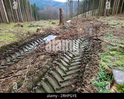 Cingoli gommati di una mietitrice completa su un'area forestale di Saarhölzbach, Saarland, Germania Foto Stock