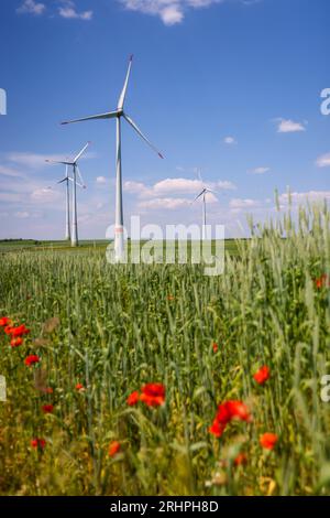 Lichtenau, Renania settentrionale-Vestfalia, Germania - Parco eolico nel paesaggio agricolo, di fronte strisce fiorite su campi di grano, papaveri. Foto Stock