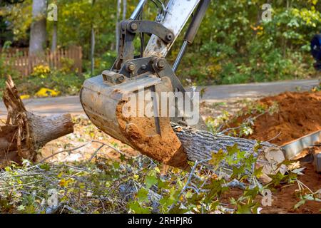 Rimozione della radice assistita del trattore con minipala per rimuovere il terreno dal complesso dell'alloggiamento Foto Stock