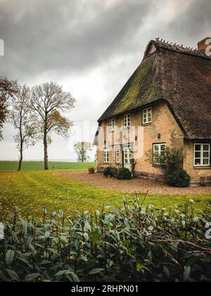 Gräverdiek, House, Geltinger Bay, Koppelheck, Schleswig-Holstein, autunno, Germania settentrionale, Germania Foto Stock