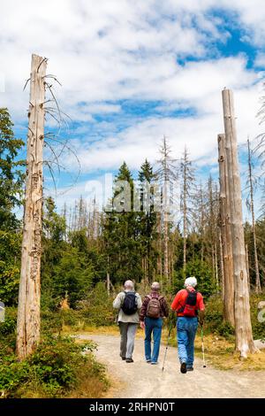 Tre persone che camminano attraverso il Parco Nazionale Eifel, Renania settentrionale-Vestfalia, Germania Foto Stock