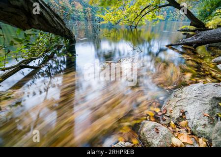 Stretta Luzin in autunno, Meclemburgo-Pomerania occidentale, Germania Foto Stock