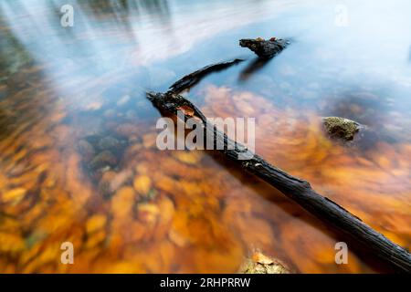 Stretta Luzin in autunno, Meclemburgo-Pomerania occidentale, Germania Foto Stock