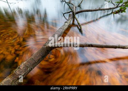 Stretta Luzin in autunno, Meclemburgo-Pomerania occidentale, Germania Foto Stock