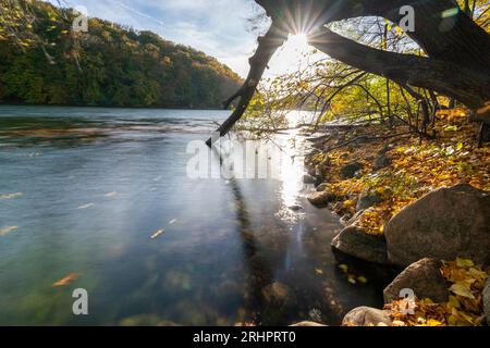 Stretta Luzin in autunno, Meclemburgo-Pomerania occidentale, Germania Foto Stock