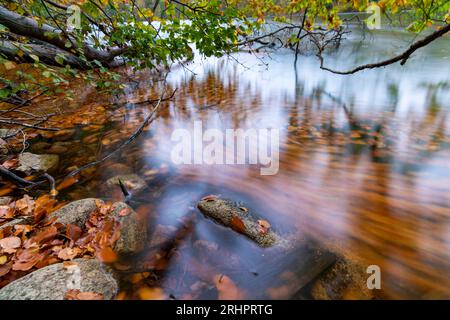 Stretta Luzin in autunno, Meclemburgo-Pomerania occidentale, Germania Foto Stock