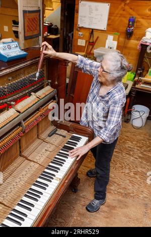 Una pianista al lavoro, Morrill, Waldo County, MidCoast Maine, USA. Foto Stock