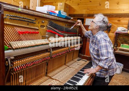 Una pianista al lavoro, Morrill, Waldo County, MidCoast Maine, USA. Foto Stock