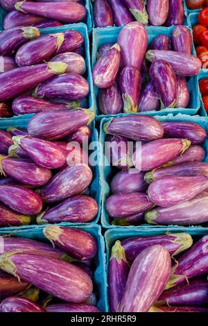 Melanzane in vendita presso il mercato agricolo settimanale di Reston, Virginia, USA. Foto Stock