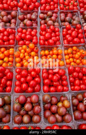 Pomodori ciliegini in vendita presso il mercato agricolo settimanale di Reston, Virginia, USA. Foto Stock