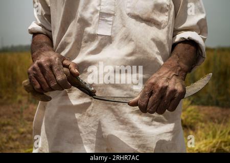 Uomo che tiene in mano una falce per la raccolta manuale Foto Stock