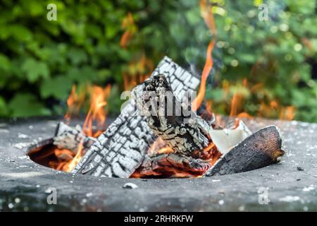 Primo piano di pezzi di legno e legna da fuoco, carbone e cenere che bruciano nelle arance calde fiamme di un braciere. Foto Stock