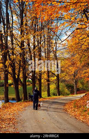 Un uomo adulto cammina con il suo cane lungo una strada rurale di campagna in autunno nel New England circondato da foglie autunnali Foto Stock