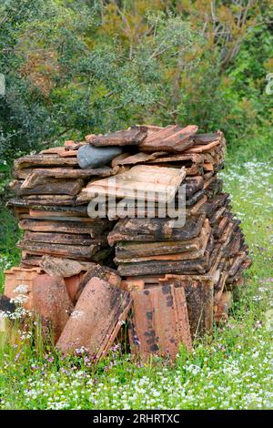 Tegole come rifugio per gli animali nel giardino, Croazia Foto Stock