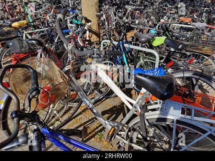 Biciclette parcheggiate presso la stazione centrale della capitale delle biciclette, Germania, Renania settentrionale-Vestfalia, Munster Foto Stock