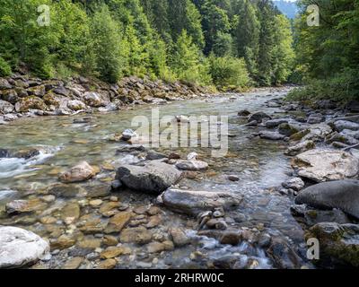 Fiume Breitach e gola Breitachklamm, Germania, Baviera, Allgaeu, Oberstdorf Foto Stock