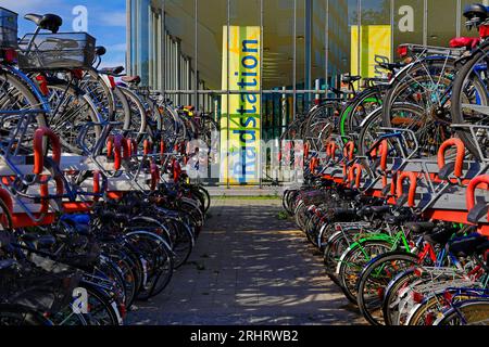 Biciclette parcheggiate presso la stazione centrale della capitale delle biciclette, Germania, Renania settentrionale-Vestfalia, Munster Foto Stock